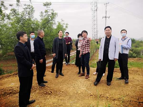 安康市副市长杨淼一行考察汉滨区职教中心迁建项目