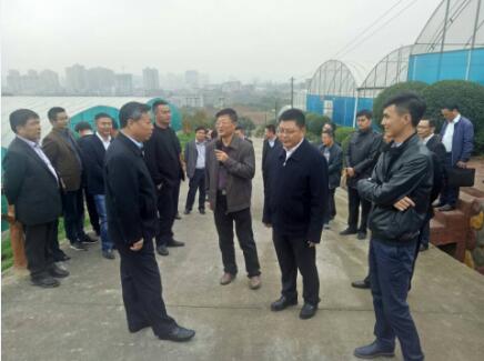 QQ截图20171102084425.jpg