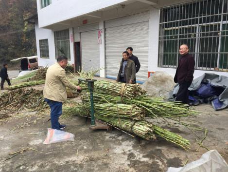 360截图16510930352352.jpg