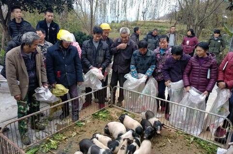 QQ截图20180115140537.jpg