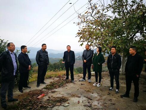 QQ截图20181022091341.jpg