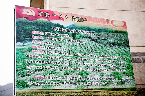 1Y7A2572.jpg