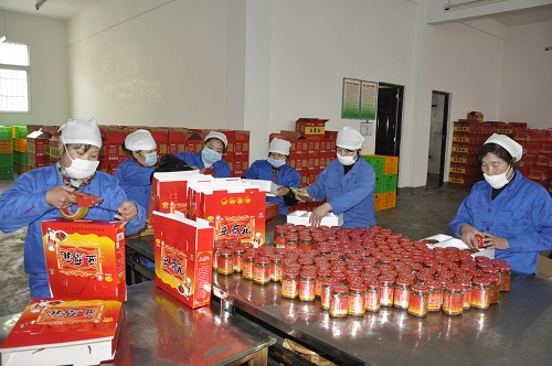 洪山镇大运富硒食品厂生产车间一角。汪金波 摄.JPG