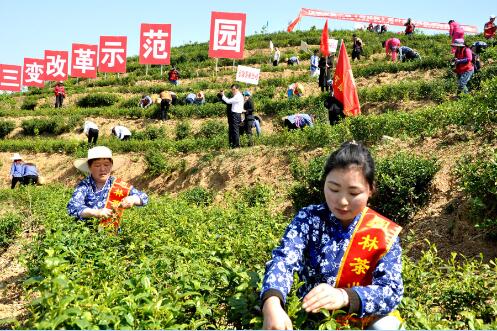QQ截图20180403173737.jpg