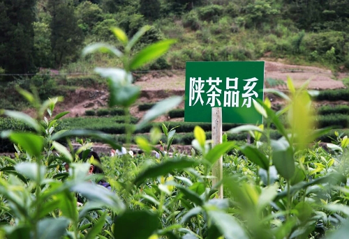 QQ截图20180913185522.png