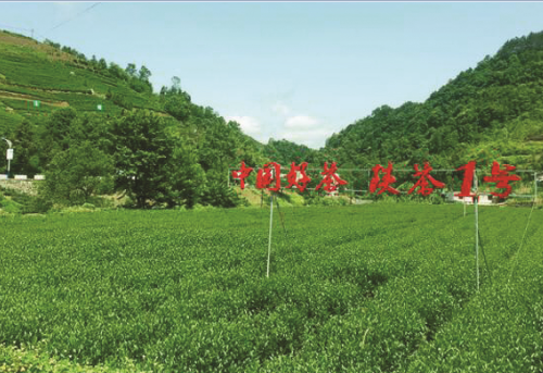 QQ截图20180913185611.png