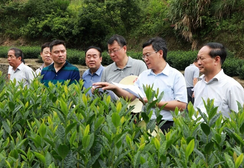 QQ截图20180913185549.png