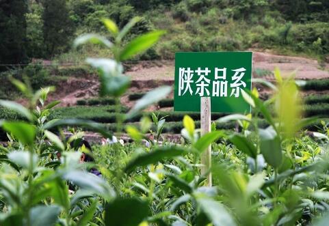 QQ截图20180921194536.jpg