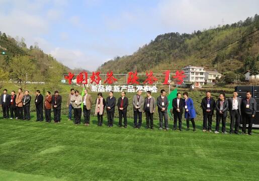 QQ截图20191014212658.jpg