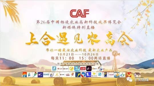 QQ截图20191021202706.jpg