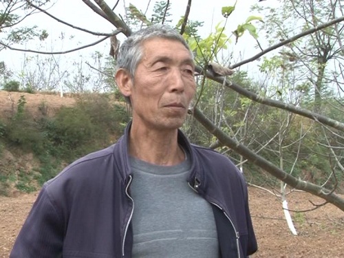 汉滨区永齐农林商贸核桃园区管理员 张永安.JPG