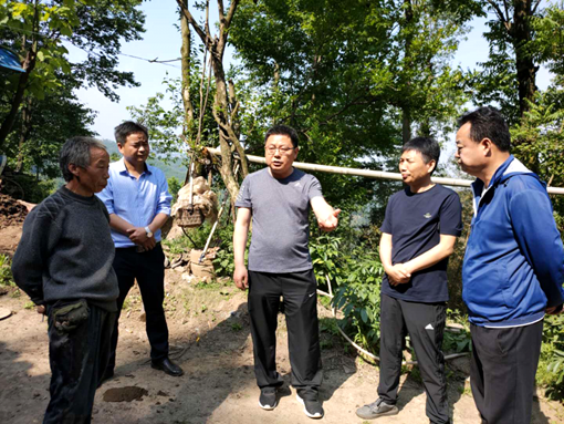 微信图片_20200514084802.png