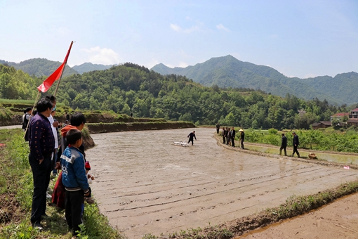 IMG_2328(20200421-071251)_副本.jpg