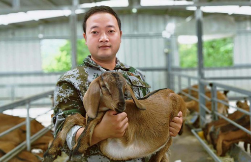 微信图片_20200615173111.png