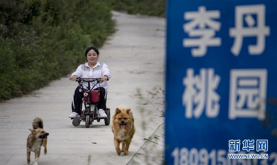 （图片故事）（5）播种甜蜜的一家人