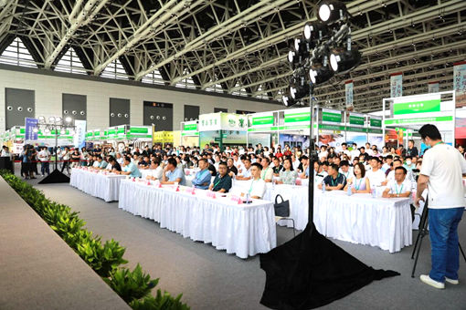 mmexport1598110346460.jpg