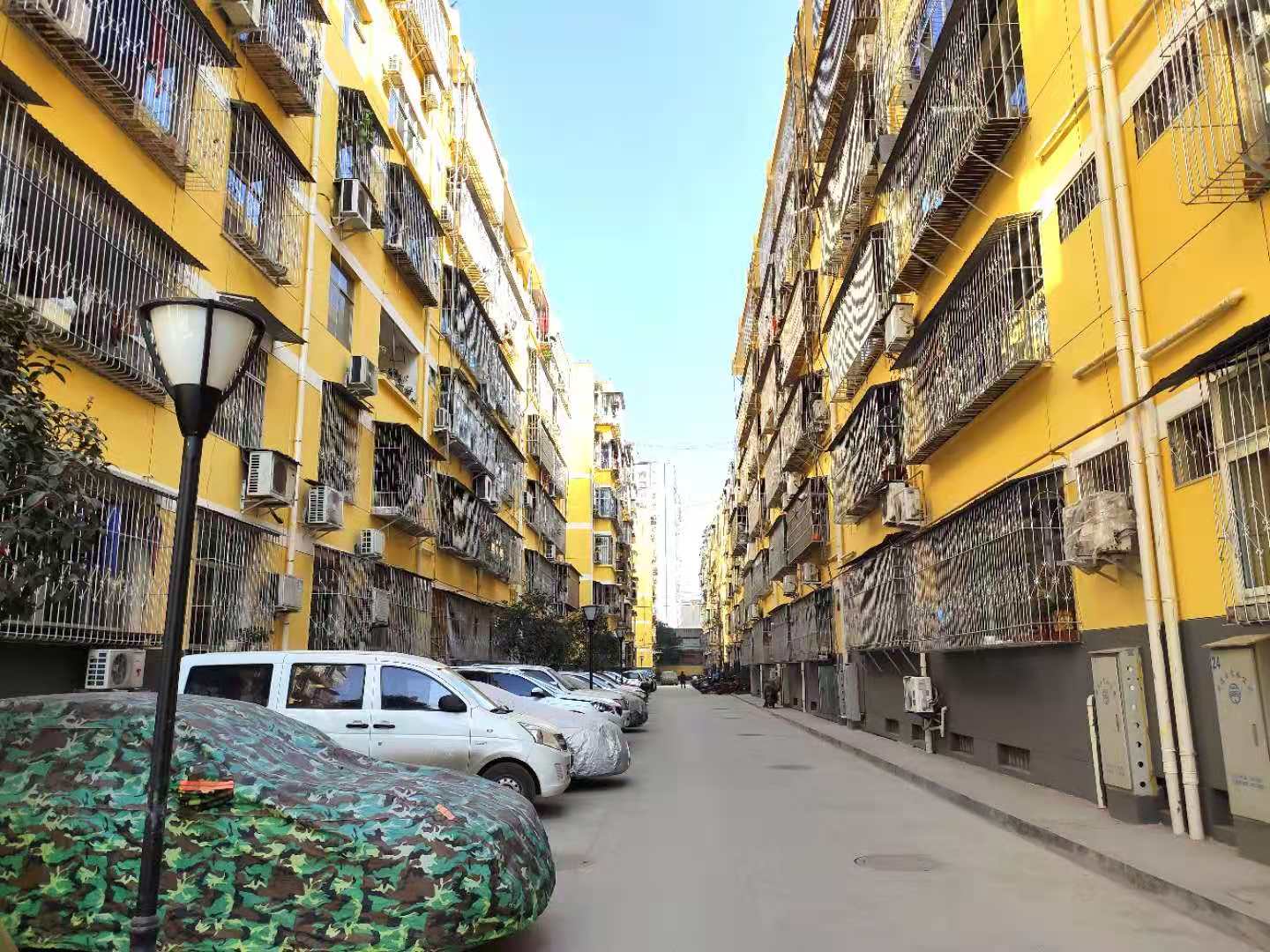 1610615556861059683.jpg