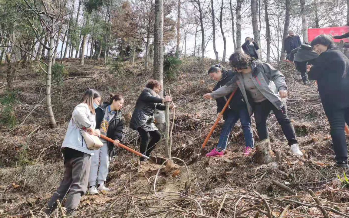 微信截图_20210305222026.png